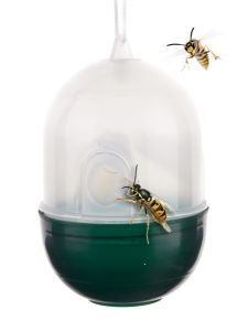 Insect trap 8x11cm