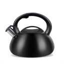 Kettle PROMIS TMC11 MATEO 2 liters INDUCTION, GAS