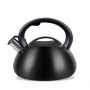 Kettle PROMIS TMC11 MATEO 2 liters INDUCTION, GAS