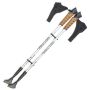 Kijki do nordic walking - srebrne
