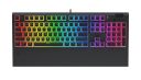 Klawiatura SPC Gear GK650K Omnis Kailh Blue RGB Pudding Edition (SPG118)