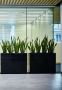Large rectangular fiberglass pot 50x20 cm - black