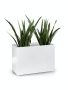 Large rectangular fiberglass pot 60x30 cm - white