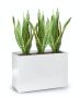 Large rectangular fiberglass pot 60x30 cm - white