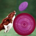 Latający dysk / Talerz do rzucania/ Frisbee - bordowy