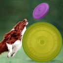 Latający dysk / Talerz do rzucania/ Frisbee - limonkowy