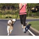 Leash for running with a dog + waist belt