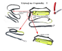 Leash with a hip belt for running with a dog - orange