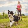 Leash with a hip belt for running with a dog - yellow