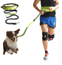 Leash with hip belt for running with a dog - blue