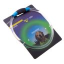 LED dog collar, neck 50cm - blue