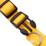 LED dog collar, size L - yellow