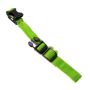 LED dog collar, size M - green
