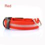 LED dog collar, size S - purple