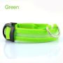 LED dog collar, size XL - green