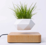 Levitating flower pot