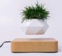 Levitating flower pot