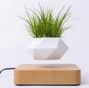 Levitating flower pot