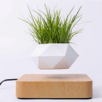 Levitating flower pot