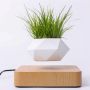 Levitating flower pot