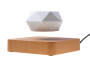 Levitating flower pot