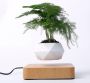 Levitating flower pot