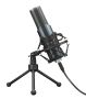 Mikrofon Trust GXT 242 Lance Streaming 22614 (kolor srebrny)