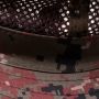 Mosquito net, insect net, hat - red and brown