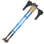 Nordic walking poles - blue