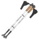 Nordic walking poles - silver