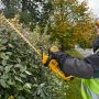 Nożyce do strzyżenia żywopłotów DeWALT DCM563P1-QW