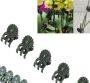 Orchid clips - 50 pcs.
