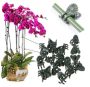 Orchid clips - 50 pcs.