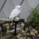 Ozdobna lampa solarna LED do ogrodu Sowa - biała