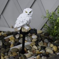 Ozdobna lampa solarna LED do ogrodu Sowa - biała
