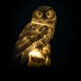 Ozdobna lampa solarna LED do ogrodu Sowa - brązowa