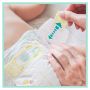 Pampers Zestaw pieluch Premium Care JP Midi 3 (5-9 kg); 80