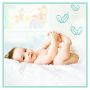Pampers Zestaw pieluch Premium Care Monthly Box S3 3 (5-9 kg); 204