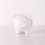 Piggy bank FOLKSTAR small Kashubian pig