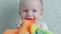 Plush Fish - Memory Game