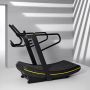 Professional powerless treadmill