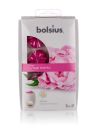 Scented candle Peony 6pcs.