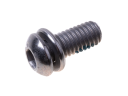 Screw hexagon M6*14 with socket Xiaomi Mi Electric Scooter M365 - gray (original)