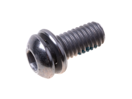 Screw hexagon M6*14 with socket Xiaomi Mi Electric Scooter M365 - gray (original)