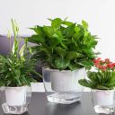 Self-watering pot for flowers and plants - large