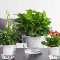 Self-watering pot for flowers and plants - large