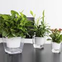 Self-watering pot for flowers and plants - medium