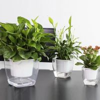 Self-watering pot for flowers and plants - medium