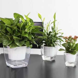 Self-watering pot for flowers and plants - medium