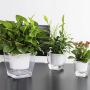 Self-watering pot for flowers and plants - medium